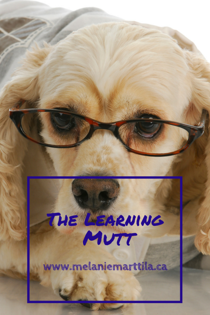 The Learning Mutt